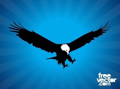 Bald Eagle Silhouette Free Vector