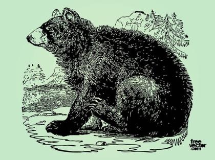 Bear Illustration Free Vector