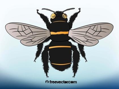 Bee Illustration Free Vector