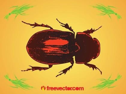 Beetle Free Vector