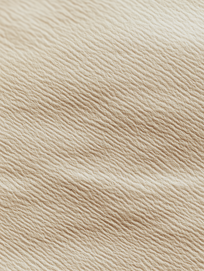 Beige Fabric Texture