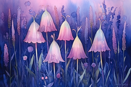 Bellflower Meadow
