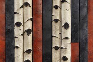 Birch Forest Wall Art