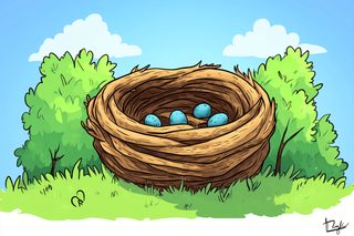 Bird Nest With Eggs