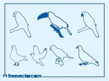 Birds Outlines Free Vector