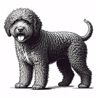 curly dog illustration