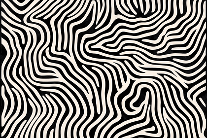 Black and White Curvy Lines Pattern
