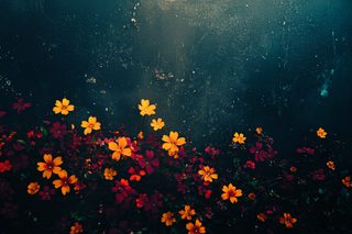 Blossoming Flowers Against Dark Wall