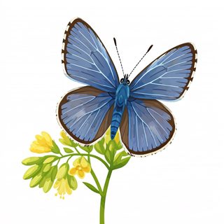 blue butterfly flower
