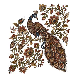 boho peacock illustration
