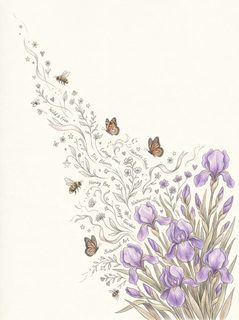 botanical iris sketch