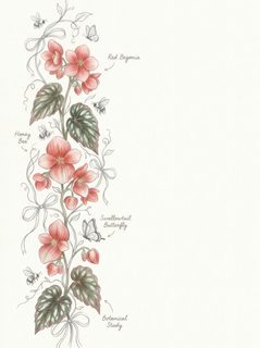 red begonia botanical