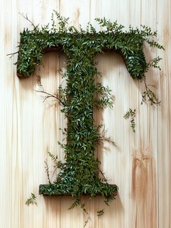 Botanical Letter T