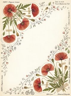 poppy botanical border