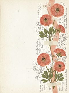 pressed-flower-journal