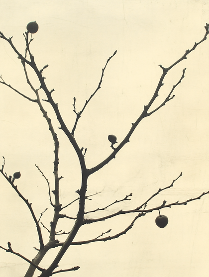 Branches with Fruits Silhouette