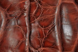 Brown Leather Texture