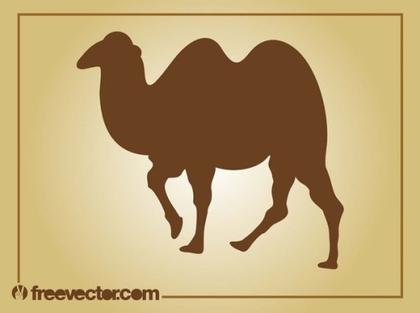 Exploring Camel Vectors: A Collection of 10 Unique Designs