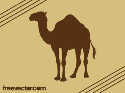 Exploring Camel Vectors: A Collection of 10 Unique Designs