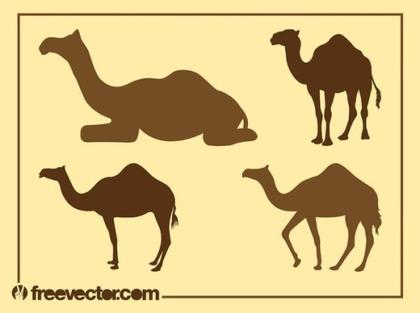 Camel Silhouettes Free Vector