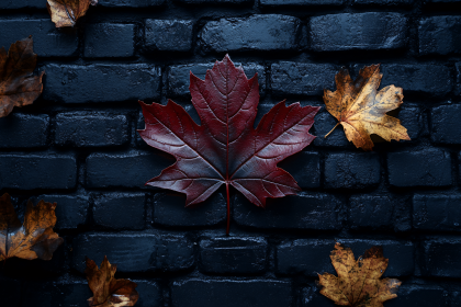 Central Maple Leaf On Dark Brick