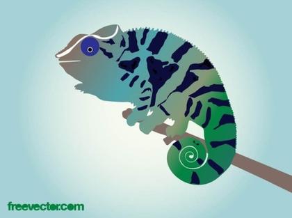 Chameleon Free Vector