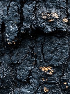 Charred Tree Bark Texture