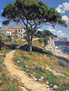 Coastal Path with Pine Tree