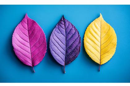 Colorful Autumn Leaves