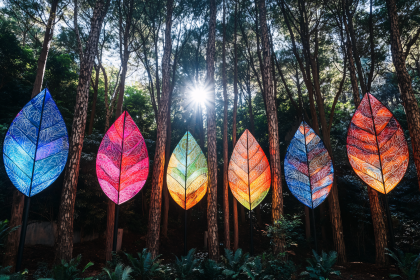 Colorful Leaf Sculptures in Forest