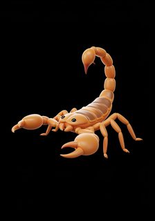 cute 3d scorpion