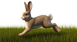 running-brown-rabbit