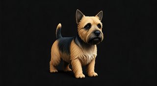 cairn-terrier-portrait