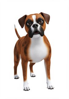 Cartoon Boxer Dog