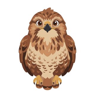 Buzzard Bird
