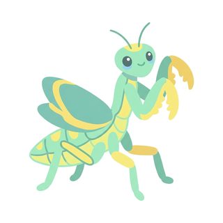 cute praying mantis