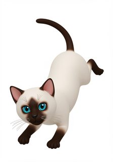 playful siamese cat