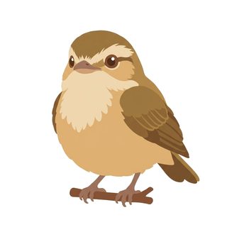 cute brown bird