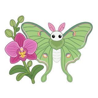 cute luna moth