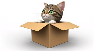 kitten in box