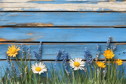 Daisies and Lavender on Blue Wood