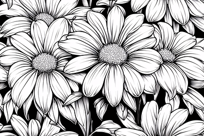 Daisy Flower Line Art