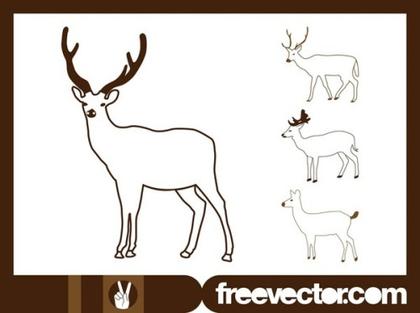 Deer Outlines Free Vector