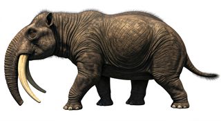 prehistoric deinotherium mammal