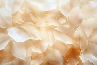 Delicate Autumn Leaves