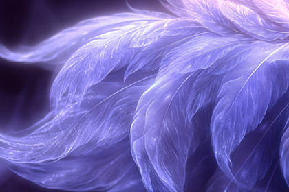 Delicate Feathers