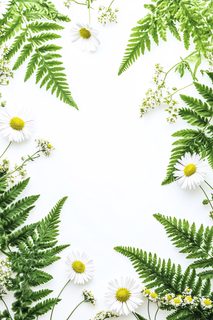 Delicate Floral Frame