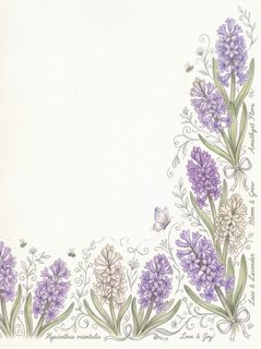 hyacinth floral border