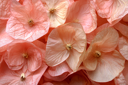 Delicate Pink Floral Bracts