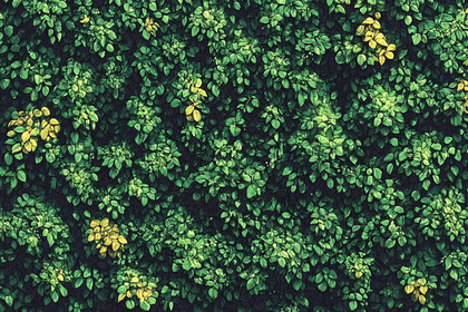 Dense Foliage with Green and Yellow Leaves